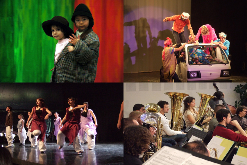 Etat des lieux des enseignements artistiques